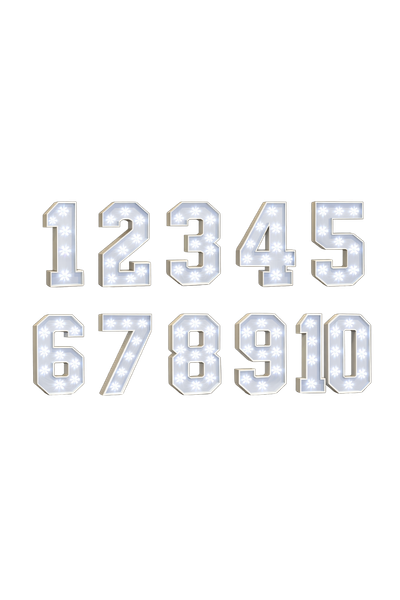4ft Light Up Numbers